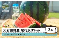 【先行予約】尾花沢すいか 大玉  2L×2玉 2026年産 令和8年産  すいか スイカ  ja-suooa2