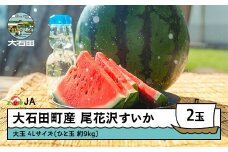 【先行予約】尾花沢すいか 大玉  4L×2玉 2026年産 令和8年産  すいか スイカ ja-suooa4