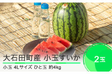 小玉すいか 4L×2玉  2025年産 令和7年産 ひとりじめ または ピノガール すいか スイカ  ja-sukoa4