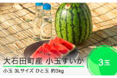 小玉すいか 3L×3玉  2025年産 令和7年産 ひとりじめ または ピノガール すいか スイカ ja-sukoa3