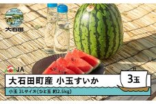 【先行予約】小玉すいか 3L×3玉  2026年産 令和8年産 ひとりじめ または ピノガール すいか スイカ ja-sukoa3