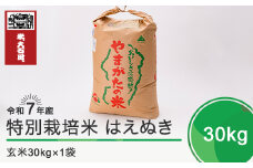 新米 米 令和8年1月上旬発送 はえぬき30kg 玄米 令和7年産 ja-hagxa30-1f