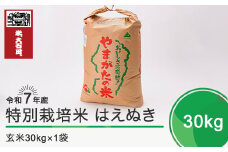 新米 米 令和7年12月上旬発送 はえぬき30kg 玄米 令和7年産 ja-hagxa30-12f