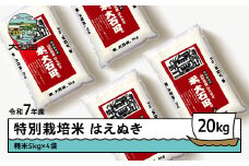新米 米 令和7年産 米 はえぬき 20㎏ 2025年12月上旬発送 大石田町産 特別栽培米 精米 ja-hasxa20-12f