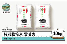 新米 米 令和7年産 米 雪若丸 10㎏ 2025年12月下旬発送 大石田町産 特別栽培米 精米 ja-yusxa10-12s