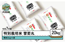 新米 米 令和7年産 米 雪若丸 20㎏ 2025年12月上旬発送 大石田町産 特別栽培米 精米 ja-yusxa20-12f