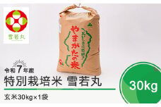 新米 米 令和8年2月下旬発送 雪若丸30kg 玄米 令和7年産 ja-yugxa30-2s