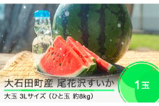 尾花沢すいか 大玉  3L×1玉 2025年産 令和7年産  すいか スイカ ja-suooa3