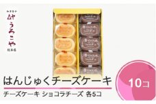お菓子 スイーツ チーズケーキ チョコレート ケーキ 洋菓子 はんじゅくチーズケーキ ショコラチーズ 10個入 us-swccc10