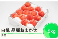 先行予約 もも 白桃 秀品 品種おまかせ 5kg 化粧箱入りフルーツ 果物 令和7年産 2025年産 山形県産 ns-mohtx5