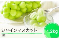 ぶどう シャインマスカット 秀品 1200g 2房 フルーツ 果物 令和7年産 2025年産 9月上旬〜10月下旬に発送 山形県産 ns-busmx1200