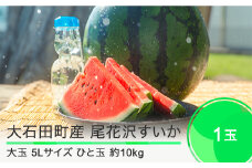 尾花沢すいか 5L×1玉 大玉  2025年産 令和7年産  すいか スイカ  ja-suo1x5