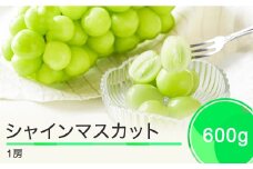 ぶどう シャインマスカット 秀品 600g 1房 フルーツ 果物 令和7年産 2025年産 9月上旬〜10月下旬に発送 山形県産 ns-busmx600