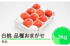 先行予約 もも 白桃 秀品 品種おまかせ 3kg 化粧箱入りフルーツ 果物 令和7年産 2025年産 山形県産 ns-mohtx3