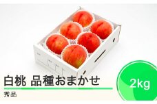 先行予約 もも 白桃 秀品 品種おまかせ 2kg 化粧箱入りフルーツ 果物 令和7年産 2025年産 山形県産 ns-mohtx2