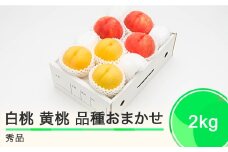もも 白桃 有袋黄桃 秀品 詰め合わせ 品種おまかせ 2kg 化粧箱入りフルーツ 果物 アソート 令和7年産 2025年産 山形県産 ns-mohot2