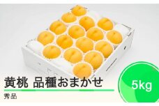 もも 有袋黄桃 秀品 品種おまかせ 5kg 化粧箱入りフルーツ 果物 令和7年産 2025年産 山形県産 ns-mootx5