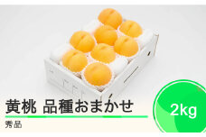 もも 有袋黄桃 秀品 品種おまかせ 2kg 化粧箱入りフルーツ 果物 令和7年産 2025年産 山形県産 ns-mootx2
