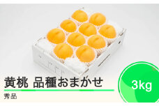 もも 有袋黄桃 秀品 品種おまかせ 3kg 化粧箱入りフルーツ 果物 令和7年産 2025年産 山形県産 ns-mootx3