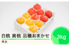 もも 白桃 有袋黄桃 秀品 詰め合わせ 品種おまかせ 3kg 化粧箱入りフルーツ 果物 アソート 令和7年産 2025年産 山形県産 ns-mohot3