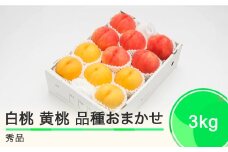 もも 白桃 有袋黄桃 秀品 詰め合わせ 品種おまかせ 3kg 化粧箱入りフルーツ 果物 アソート 令和7年産 2025年産 山形県産 ns-mohot3