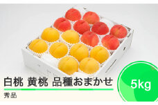 もも 白桃 有袋黄桃 秀品 詰め合わせ 品種おまかせ 5kg 化粧箱入りフルーツ 果物 アソート 令和7年産 2025年産 山形県産 ns-mohot5