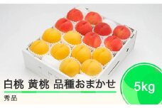 【先行予約】 もも 白桃 有袋黄桃 秀品 詰め合わせ 品種おまかせ 5kg 化粧箱入りフルーツ 果物 アソート 令和8年産 2026年産 山形県産 ns-mohot5