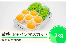 有袋黄桃 秀品＆シャインマスカット 品種おまかせ 詰め合わせ 約3kg フルーツ 果物 もも 令和7年産 2025年産 山形県産 ns-fsosx3