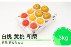 白桃＆有袋黄桃＆和梨 品種おまかせ 詰め合わせ 約3kg フルーツ 果物 令和6年産 2024年産 山形県産 送料無料 ns-fshon3