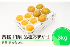 有袋黄桃 秀品＆和梨 品種おまかせ 詰め合わせ 約3kg フルーツ 果物 なし 令和6年産 2024年産 山形県産 送料無料 ns-fsonx3