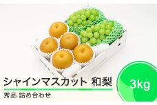 シャインマスカット 秀品＆和梨 品種おまかせ 詰め合わせ 約3kg フルーツ 果物 なし 令和6年産 2024年産 山形県産 送料無料 ns-fssnx3