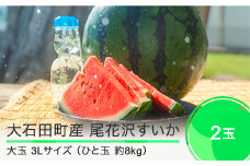 尾花沢すいか 大玉  3L×2玉 2025年産 令和7年産  すいか スイカ ja-suo2x3