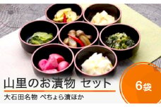 山里のお漬物 漬物 詰め合わせ 6袋 セット 漬物 大石田 山形県産 no-tuttx6