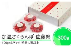 加温 さくらんぼ 佐藤錦 特秀品 L玉 ダイヤパック 100g×3パック 2026年産 令和8年産  フルーツ 果物 山形県 ja-snpcx300