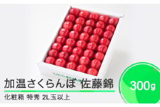 加温 さくらんぼ 佐藤錦 特秀品 2L玉 化粧箱 300g 2026年産 令和8年産  フルーツ 果物 山形県 ja-snk2x300