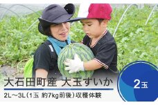 大石田町産 すいか 大玉 2L～3L×2玉 収穫体験 8月3日・4日収穫 2024年産 令和6年産 スイカ so-onsux2