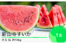 先行予約 大石田町産 新山寺すいか 大玉 5Lサイズ×1玉 2025年産 令和7年産 山形県産 yd-suoxx5