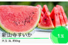 先行予約 大石田町産 新山寺すいか 大玉 3Lサイズ×1玉 2025年産 令和7年産 山形県産  yd-suoxx3