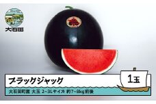 すいか 大玉 ブラックジャック 2〜3Lサイズ×1玉 2026年産 令和8年産 山形県産 大石田町産 8月上旬から順次発送 mn-subjx2