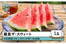 すいか 大玉 羅皇ザ・スウィート 2〜3Lサイズ×1玉 2026年産 令和8年産 山形県産 8月上旬から順次発送 mn-surox2