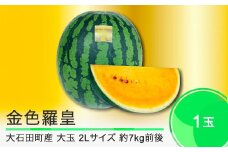 すいか 大玉 金色羅皇 2Lサイズ×1玉 2025年産 令和7年産 山形県産 大石田町産 8月上旬から順次発送 mn-sukrx2