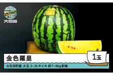 すいか 大玉 金色羅皇 2〜3Lサイズ×1玉 2026年産 令和8年産 山形県産 大石田町産 8月上旬から順次発送 mn-sukrx2