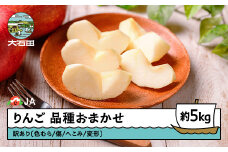 りんご 品種おまかせ 訳あり 無印 約5kg 2025年産 フルーツ 果物 山形県 ja-riwax5