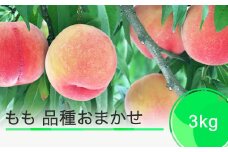 桃 もも モモ 品種おまかせ 果物 フルーツ くだもの 約3kg 2025年産 令和7年産 ja-moxxx3
