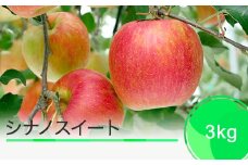 りんご シナノスイート 3kg 2025年産 果物 フルーツ くだもの 大石田 山形県 ja-rissx3