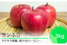 りんご サンふじ 3kg 2025年産 果物 フルーツ くだもの 大石田 山形県 ja-risfx3