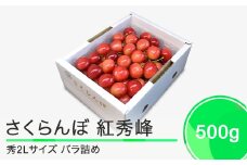 さくらんぼ 紅秀峰 秀2L 500g 2026年産 令和8年産 山形県産 ふるさと納税 果物 くだもの フルーツ 期間限定 冷蔵配送 先行受付 グルメ 取り寄せ ご当地 特産 産地 直送 送料無料 東北 山形県 人気 ry-bss2b500