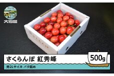 さくらんぼ 紅秀峰 秀2L 500g 2026年産 令和8年産 山形県産 ふるさと納税 果物 くだもの フルーツ 期間限定 冷蔵配送 先行受付 グルメ 取り寄せ ご当地 特産 産地 直送 送料無料 東北 山形県 人気 ry-bss2b500