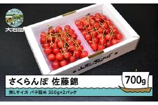 さくらんぼ 佐藤錦 秀L 700g （350g×2パック） 2026年産 令和8年産 山形県産 ふるさと納税 果物 くだもの フルーツ 期間限定 冷蔵配送 先行受付 グルメ 取り寄せ ご当地 特産 産地 直送 送料無料 東北 山形県 人気 ry-snslb700