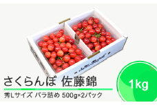 さくらんぼ 佐藤錦 秀L 1000g 1kg（バラ詰め） 2026年産 令和8年産 山形県産 ふるさと納税 果物 くだもの フルーツ 期間限定 冷蔵配送 先行受付 グルメ 取り寄せ ご当地 特産 産地 直送 送料無料 東北 山形県 人気 （500g×2パック） ry-snslb1000